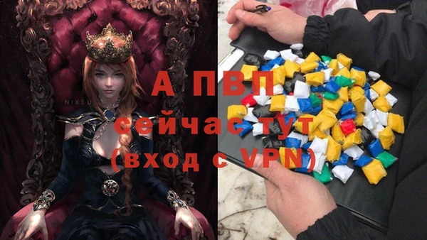 соль ск Горно-Алтайск
