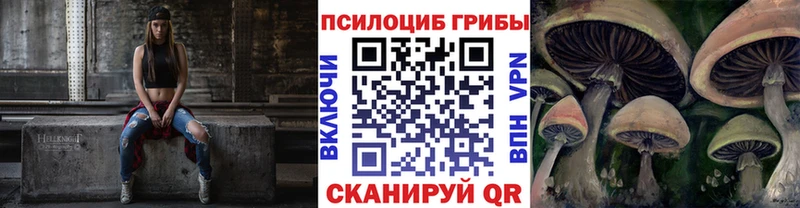 Псилоцибиновые грибы Psilocybine cubensis  где продают наркотики  Михайлов 